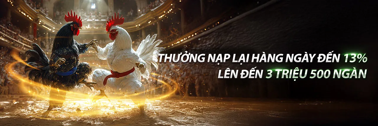 Đá gà trực tuyến sôi động tại FCB8 Nhà Cái
